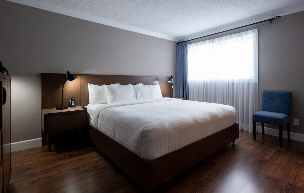 King Designer Suite photo 1