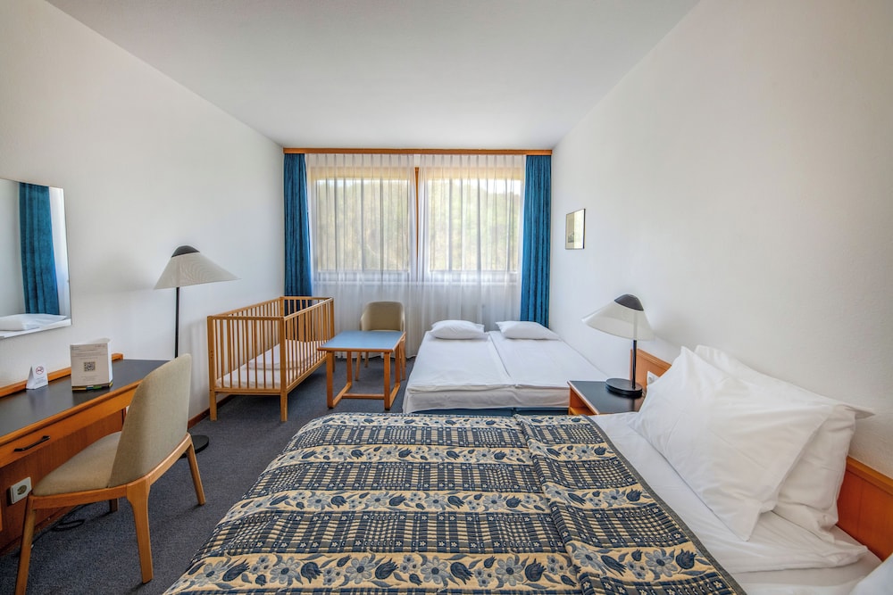 Standard Plus room with sofa bed photo 2