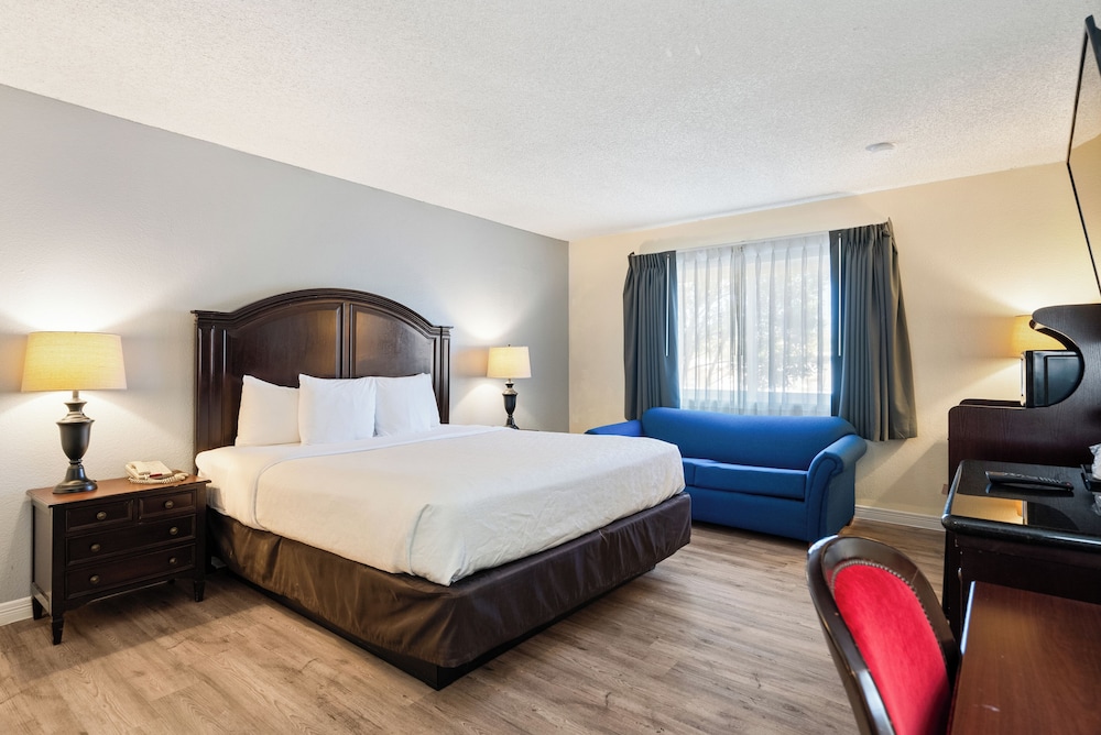 Single Room, Accessible photo 2