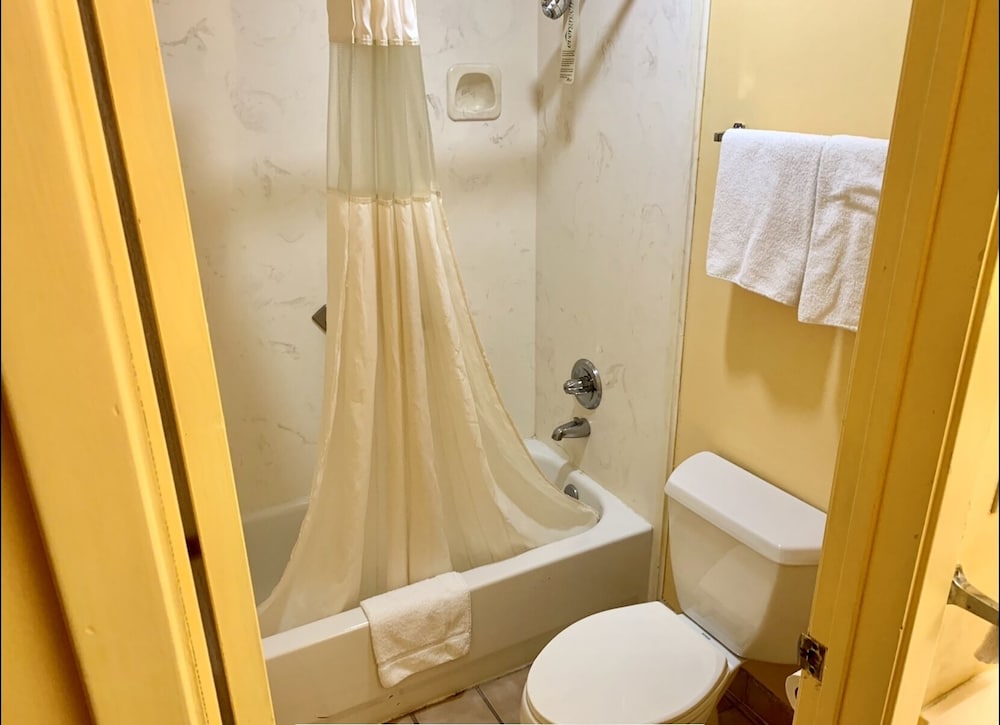 Suite, 1 King Bed, Smoking photo 3