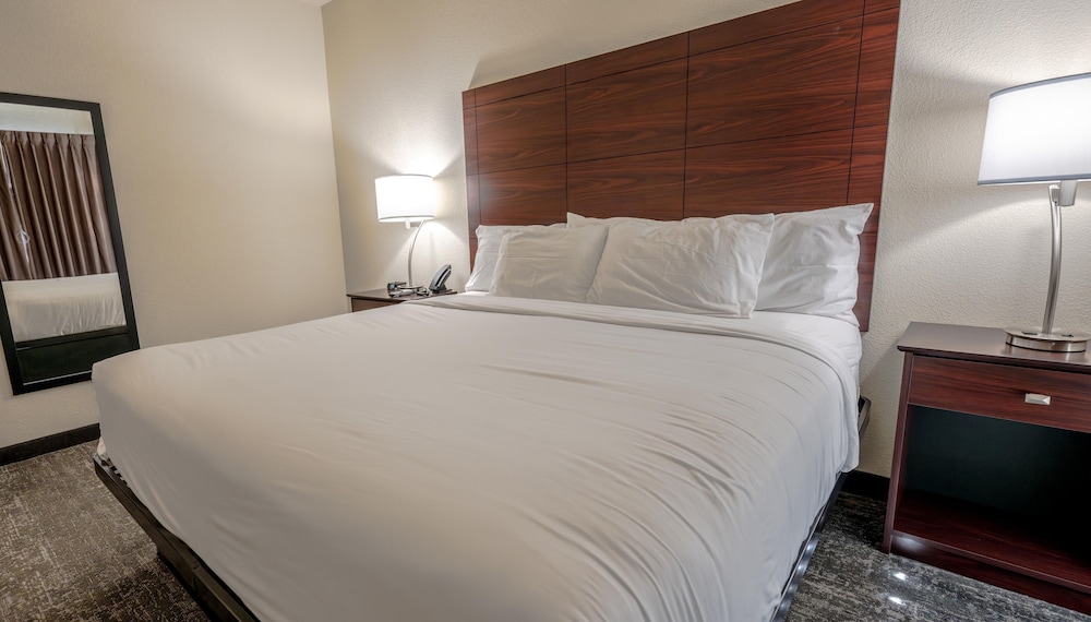 Room, 1 King Bed, Accessible, Non Smoking (Guestroom) - Photo 9