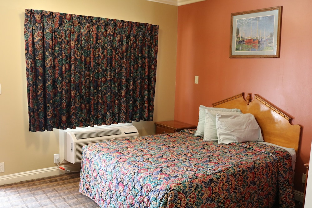 Economy Room, 1 King Bed, Smoking photo 3