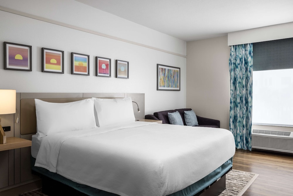 Deluxe King - larger room - Photo 1