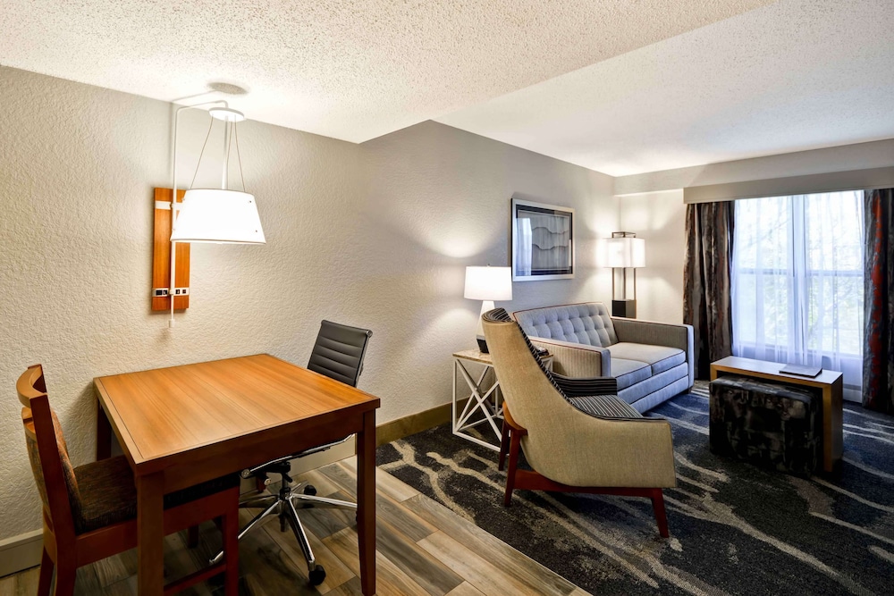 Suite, 1 King Bed with Sofa bed, Accessible (Bathtub)