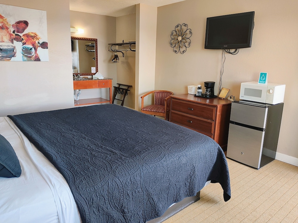 Economy Room, 1 King Bed photo 2