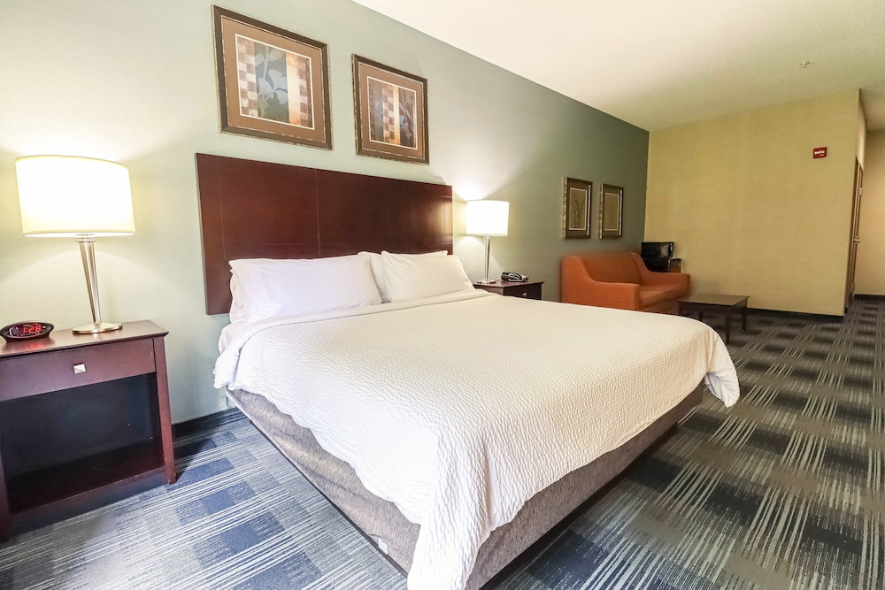 Standard Room, 1 King Bed, Roll-in Shower (Mobility, Accessible Tub) - Photo 1
