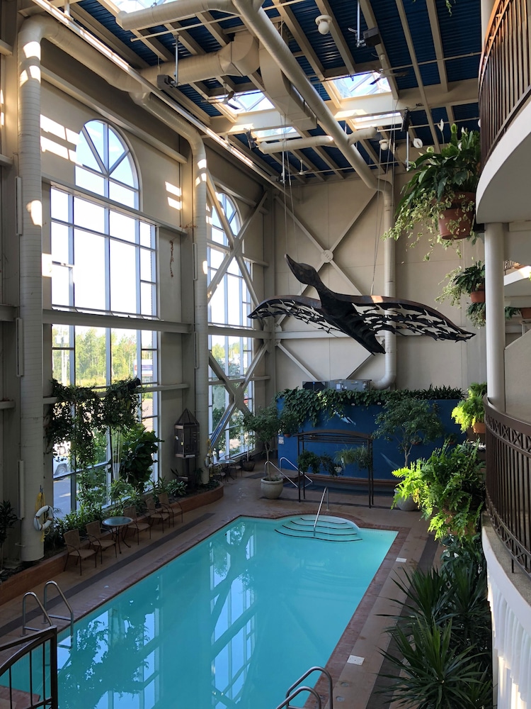 Comfort Room, 2 Queen Beds, Pool View - Photo 7