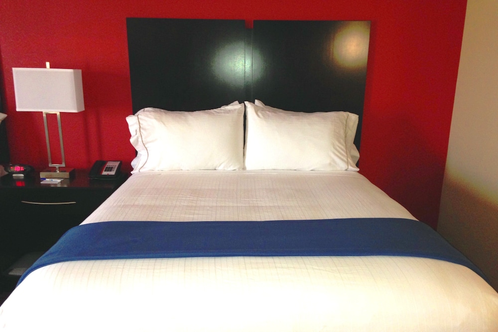 Suite, 1 King Bed photo 3