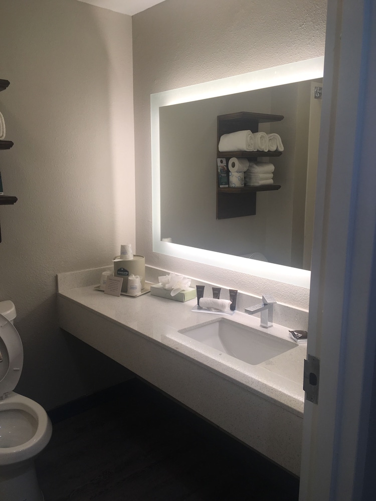 Suite, 1 King Bed, Jetted Tub - Photo 9
