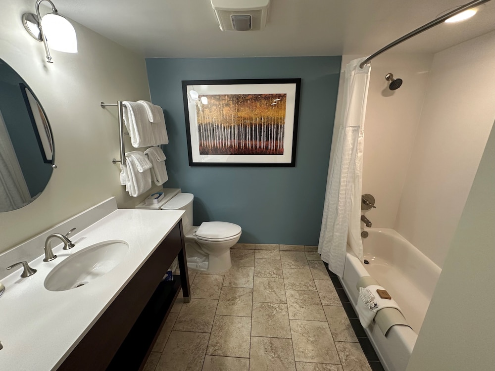 Deluxe Suite (Hotel) (No Pets) photo 3