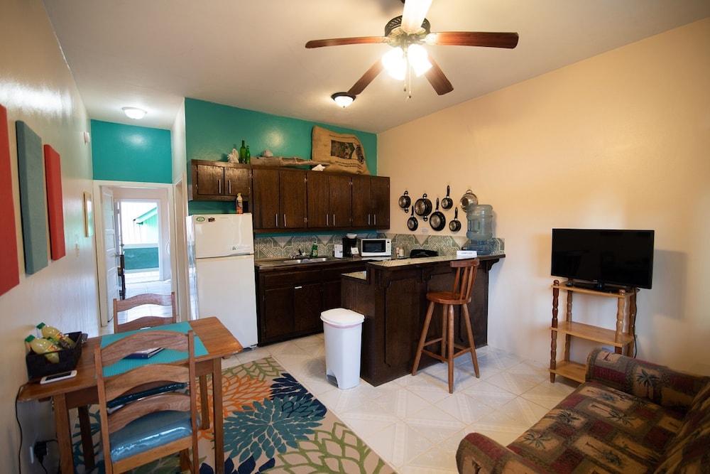Deluxe Apartment, 1 King Bed, Non Smoking, Kitchen photo 3