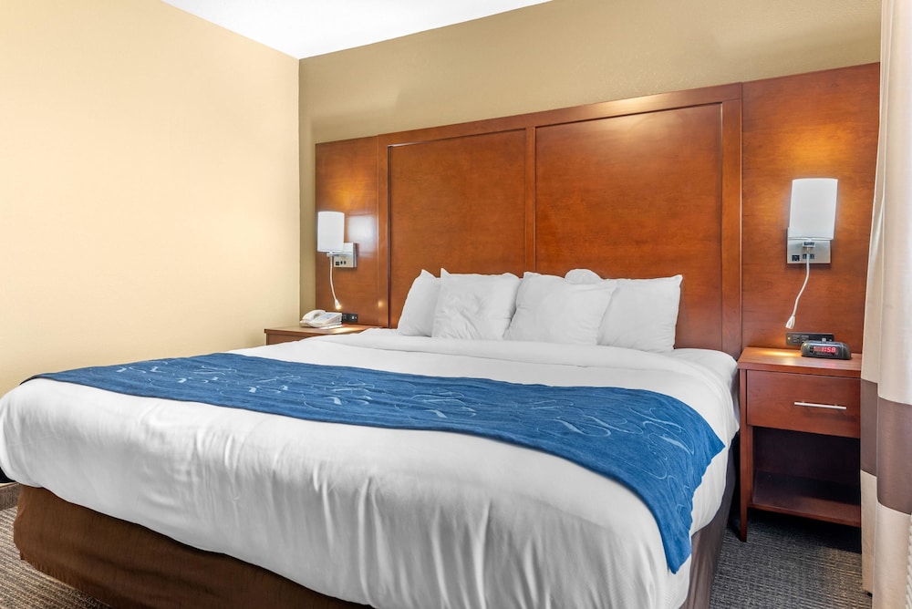 Suite, 1 King Bed with Sofa bed, Non Smoking, Kitchenette - Photo 4