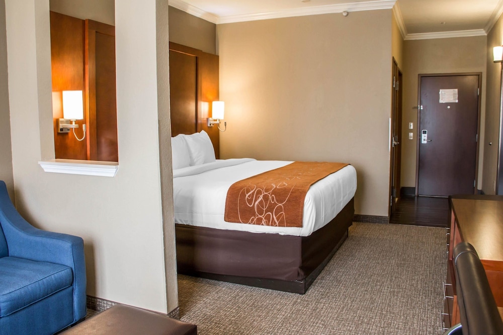 Suite, 1 King Bed with Sofa bed, Accessible, Non Smoking - Photo 3