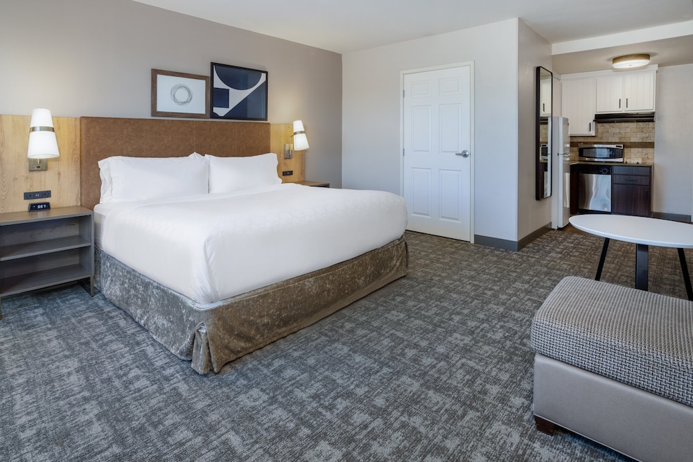 Studio Suite, 1 King Bed, Accessible, Kitchen (Accessible Tub) - Photo 2