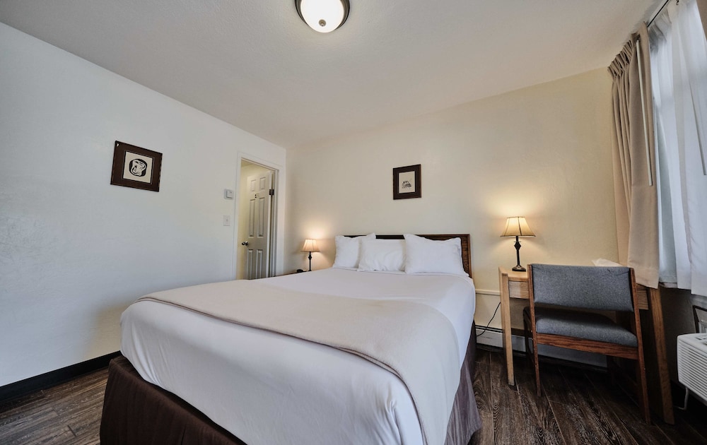 Economy Room, 1 Queen Bed, Non Smoking photo 3