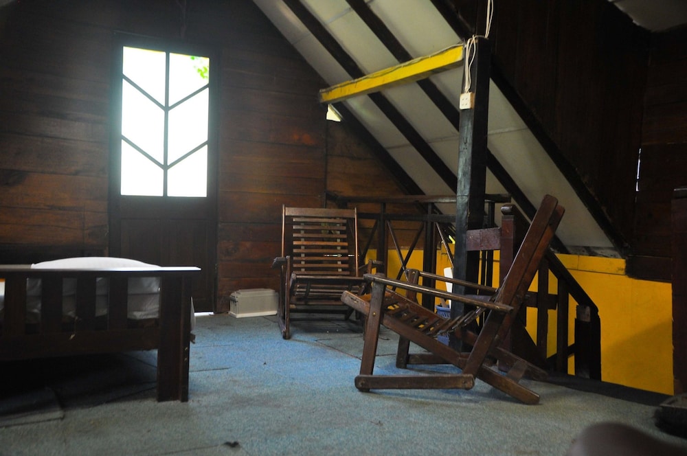 Tree House, Mixed Dorm photo 2