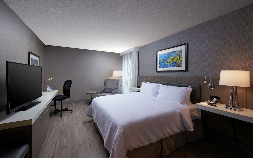 Room, 1 King Bed, Accessible (Roll-In Shower)
