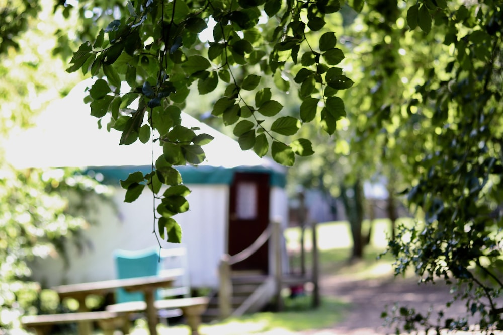 Large Village Yurt photo 1