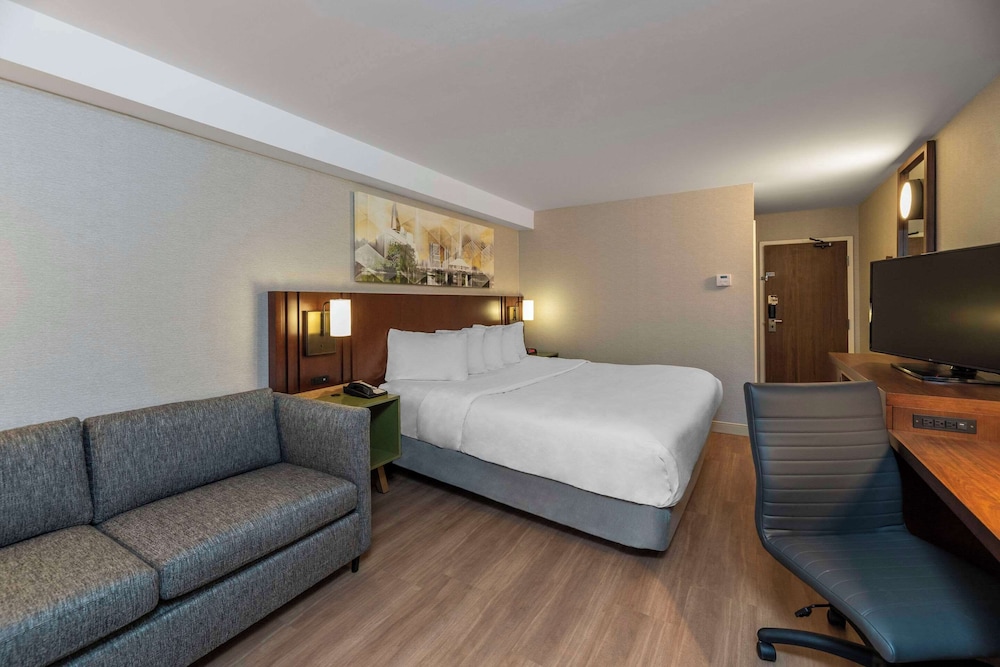 Standard Room, 1 King Bed with Sofa bed, Ground Floor (No Pets Allowed) - Photo 2