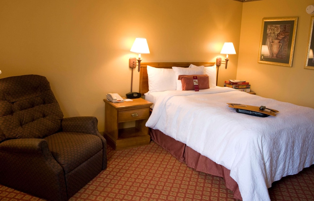 Room, 1 Queen Bed, Non Smoking photo 2