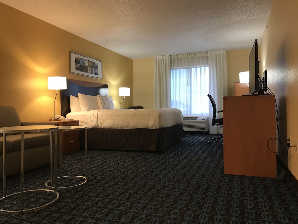 Room, 1 King Bed with Sofa bed