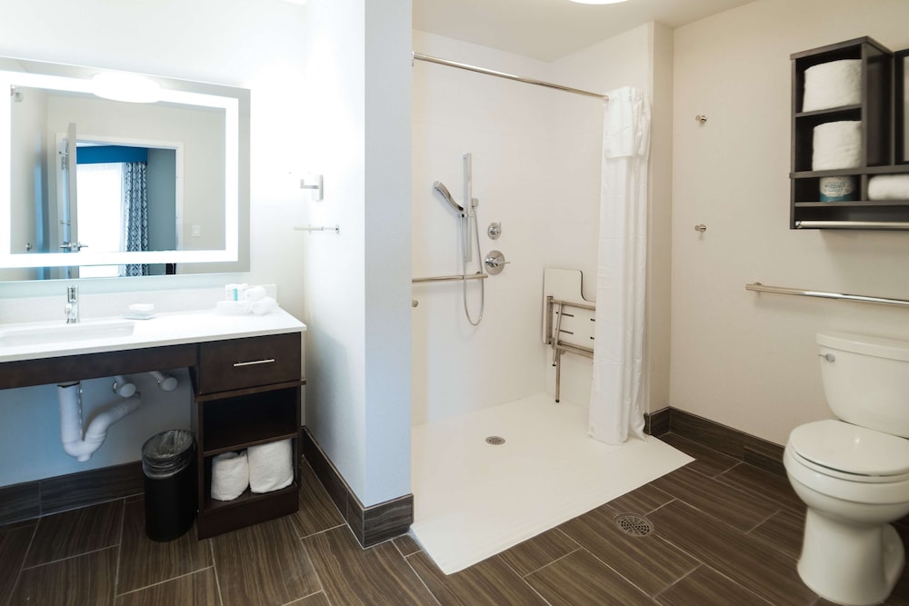 Suite, 1 King Bed, Accessible (Roll-In Shower) photo 2