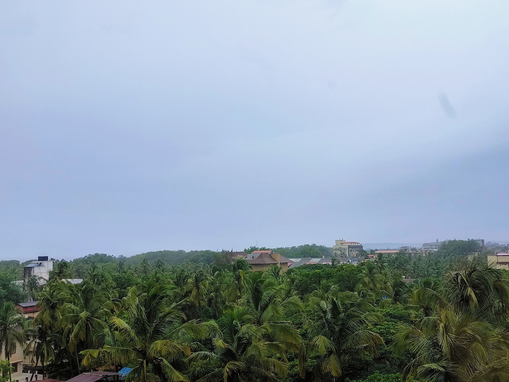 D-Luxe Queen Room- Tropical View photo 3
