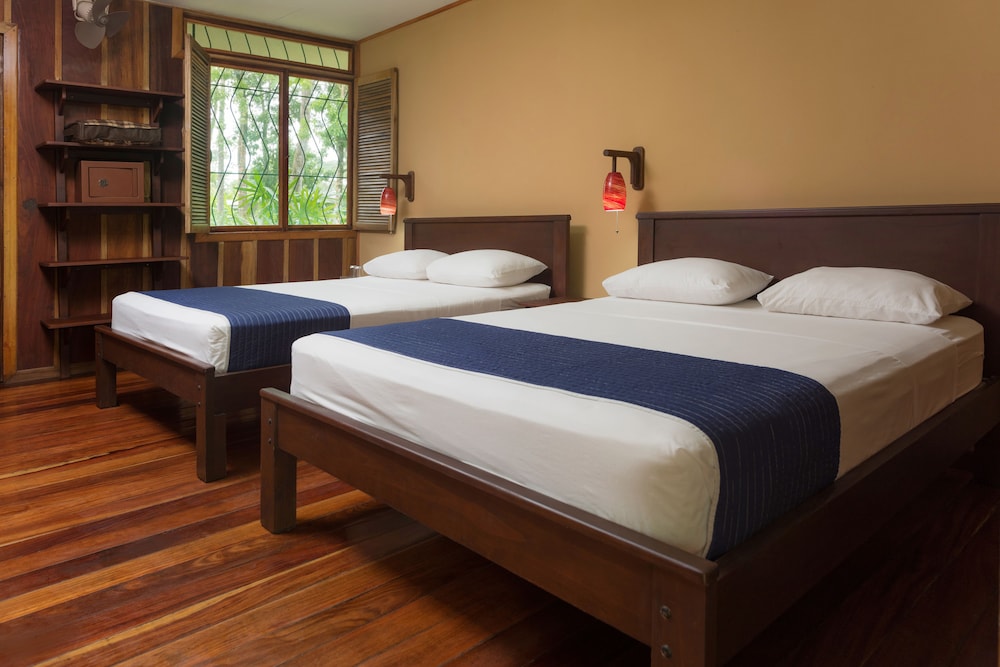 Standard Room + Tours + Transfer In/Out San Jose photo 3