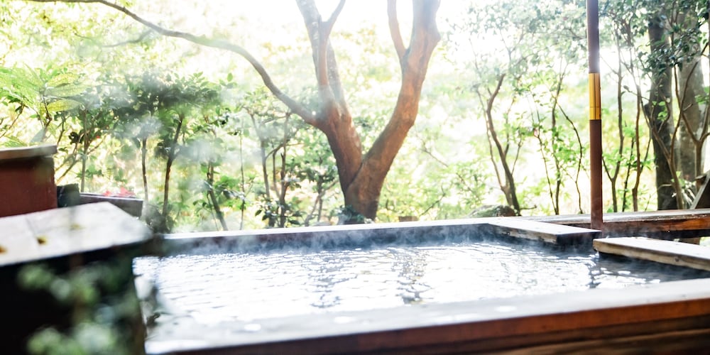 Japanese Suite with Open Air Bath - Non-Smoking photo 3
