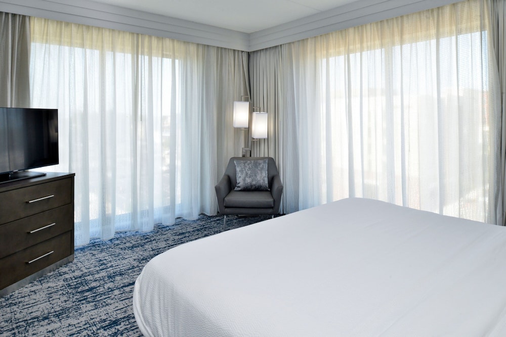 Suite, 1 Bedroom photo 2