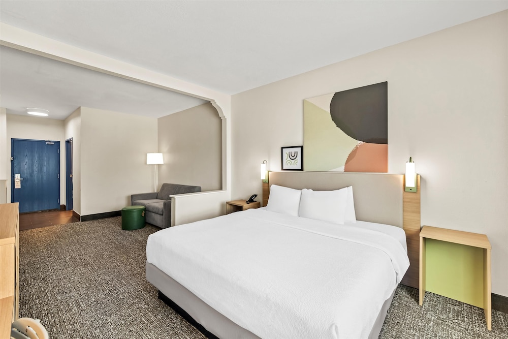 Room, 1 King Bed with Sofa bed photo 3