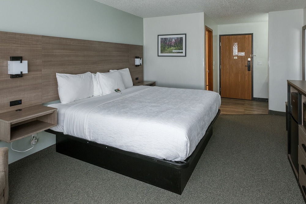 Standard Room, 1 King Bed, Walk Up photo 1