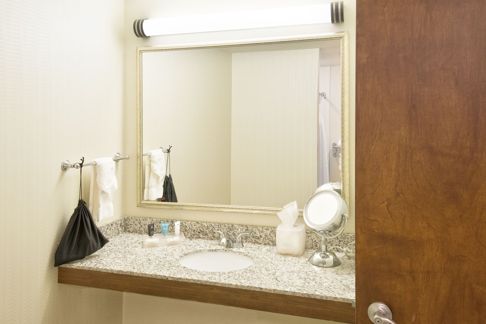 Premium Room, 1 King Bed, Roll-in Shower, Non Smoking (Communications, Roll-In Shower) - Photo 4