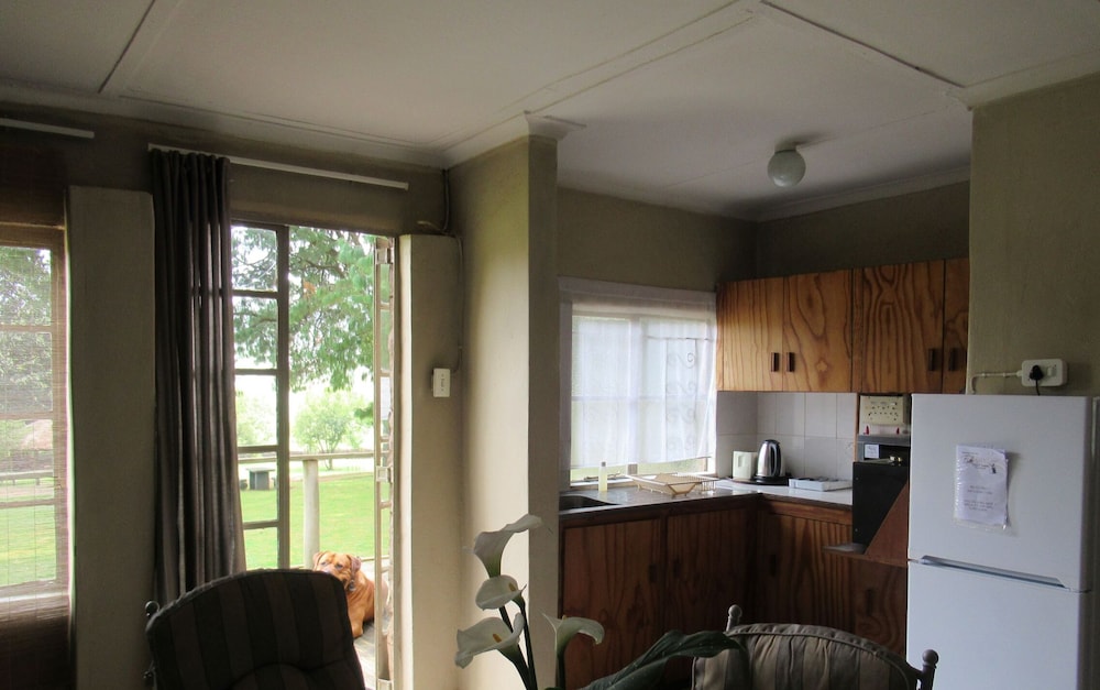 Comfort Suite photo 3