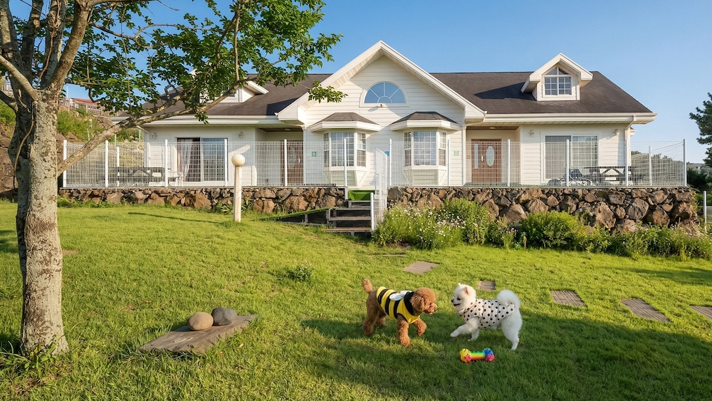 Basic Room, 2 Bedrooms (Halla — 1 Dog Free (Yard/BBQ))