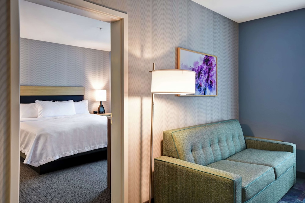 Suite, 1 King Bed, Accessible (Mobility & Hearing, Roll-in Shower)