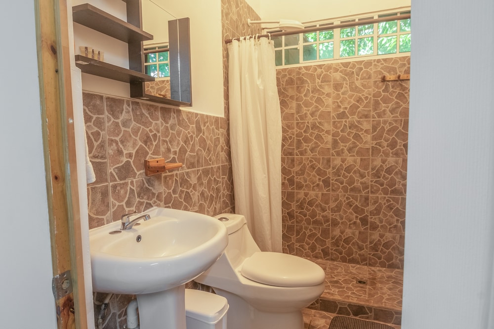 Premium Studio, 1 King Bed, Terrace with HOT WATER, photo 6