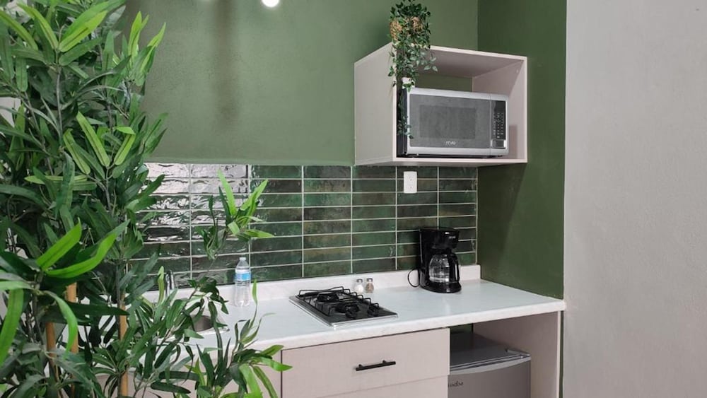 Basic Apartment photo 2