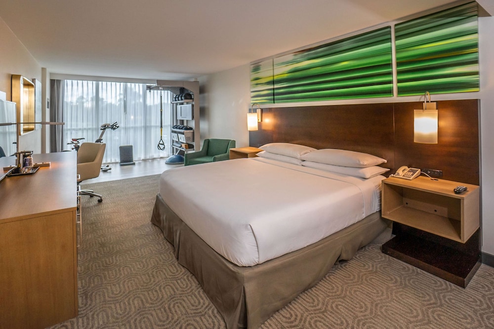 Room, 1 King Bed (Fitness) photo 2