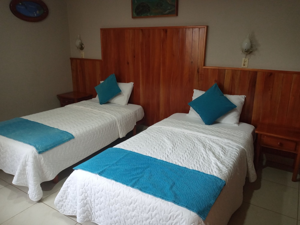 Twin Room photo 2