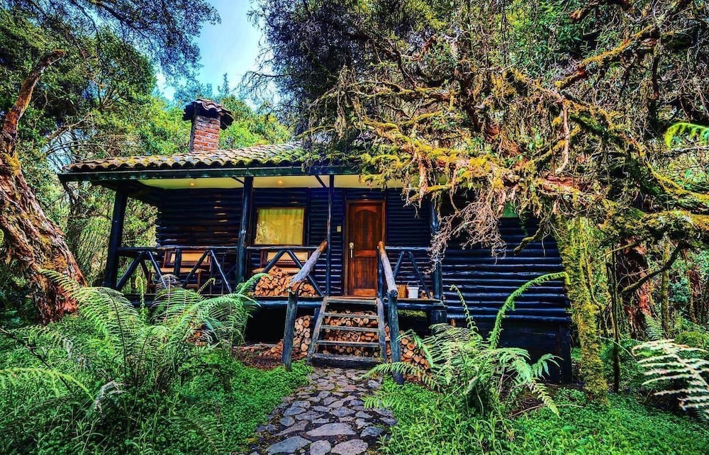 Panoramic Cabin photo 3
