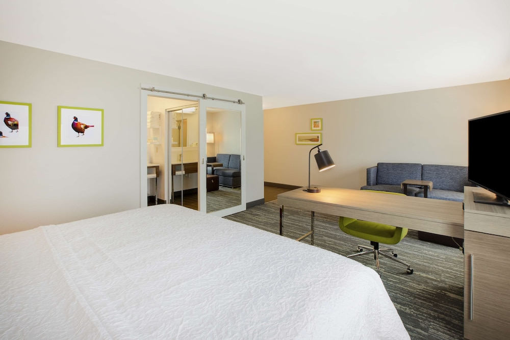 Standard Room, 1 King Bed, Non Smoking, Refrigerator & Microwave photo 3