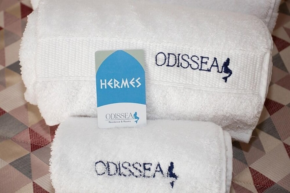 Business Double Room, Private Bathroom (camera hermes) photo 2