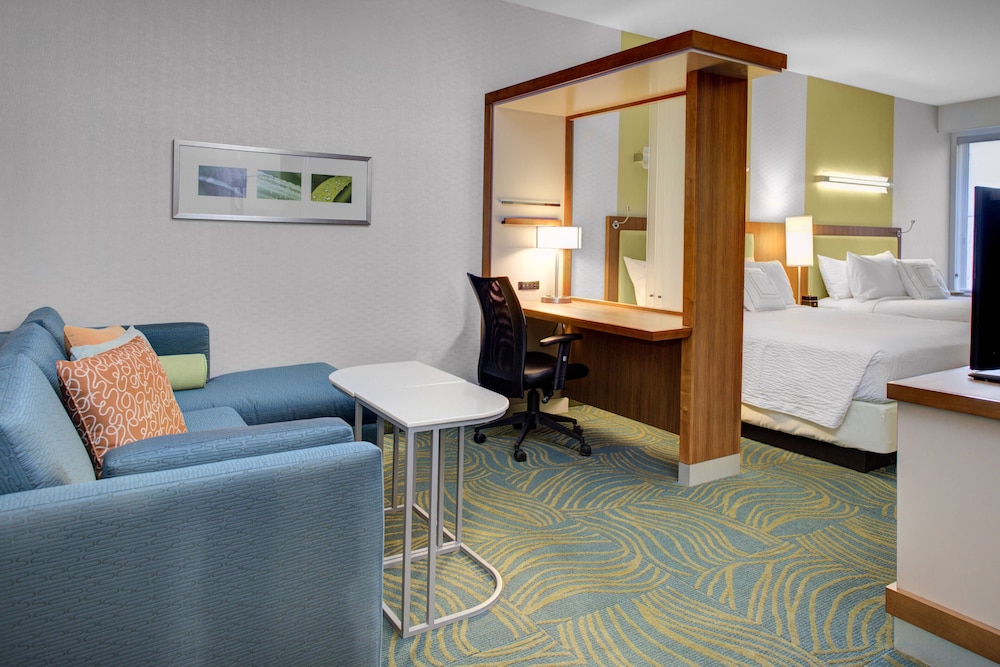 Suite, 1 King Bed with Sofa bed photo 2