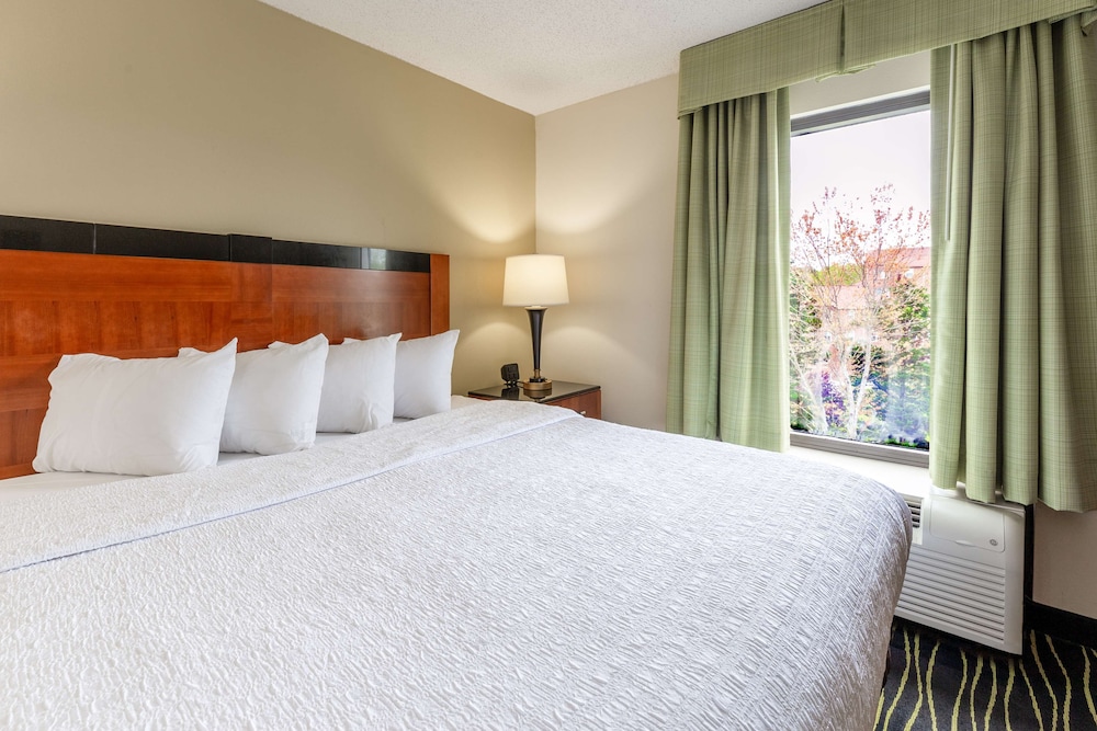 Suite, 1 King Bed, Refrigerator & Microwave, Lake View - Photo 3