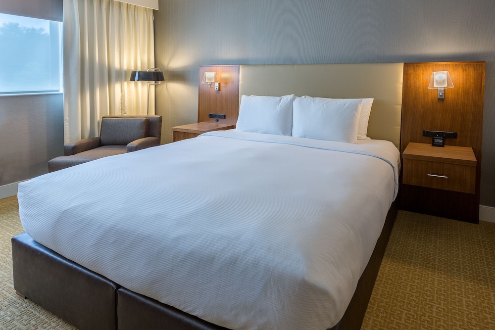 Suite, 1 King Bed, Refrigerator & Microwave (Jetted Tub)