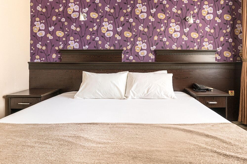 Luxury Double or Twin Room, City View photo 3