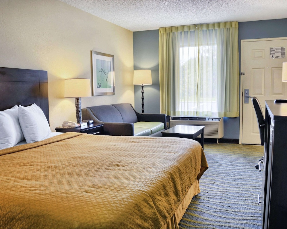Standard Room, 1 King Bed, Smoking - Photo 4