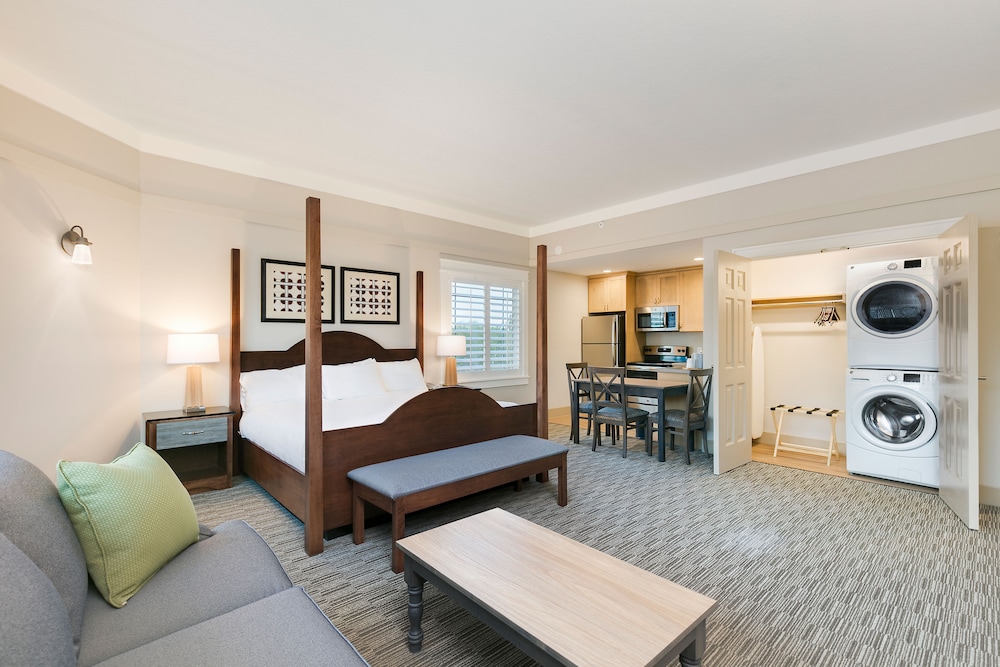Executive Room, 1 King Bed with Sofa bed