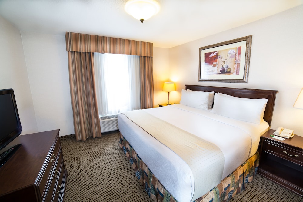 Suite, 1 King Bed (Additional Living Area)